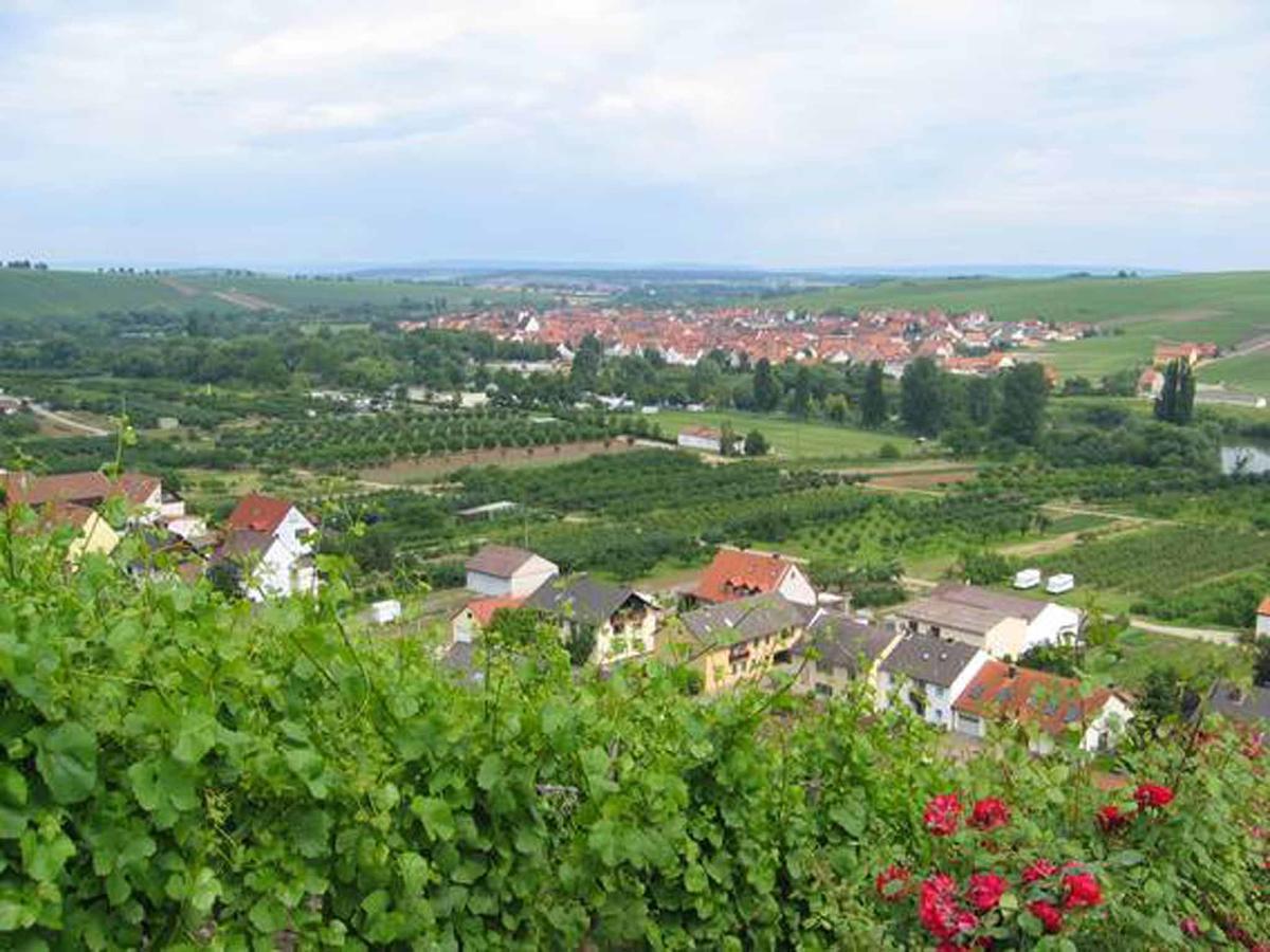 Ferienwohnung Ferien- und Winzerhof Ute Braun Nordheim am Main Exterior foto